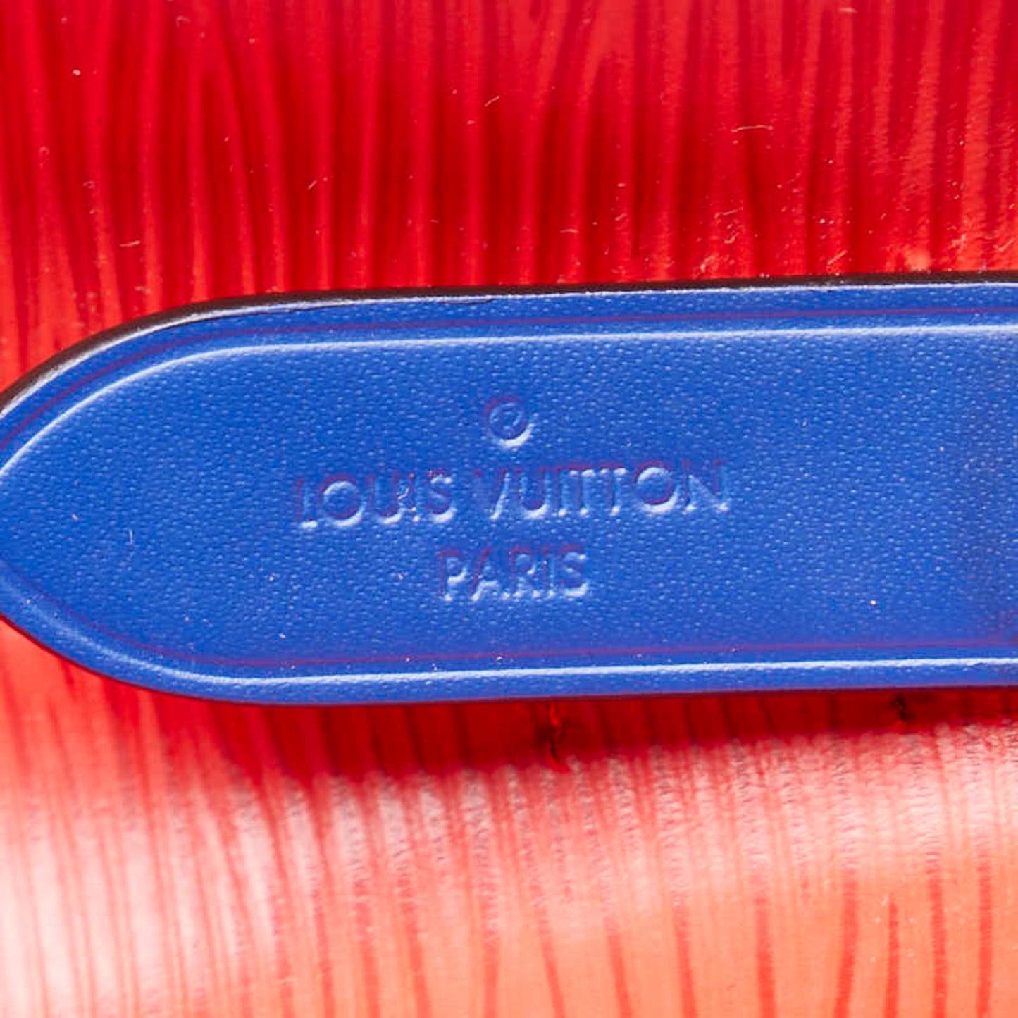 Louis Vuitton Others Blue Handbags