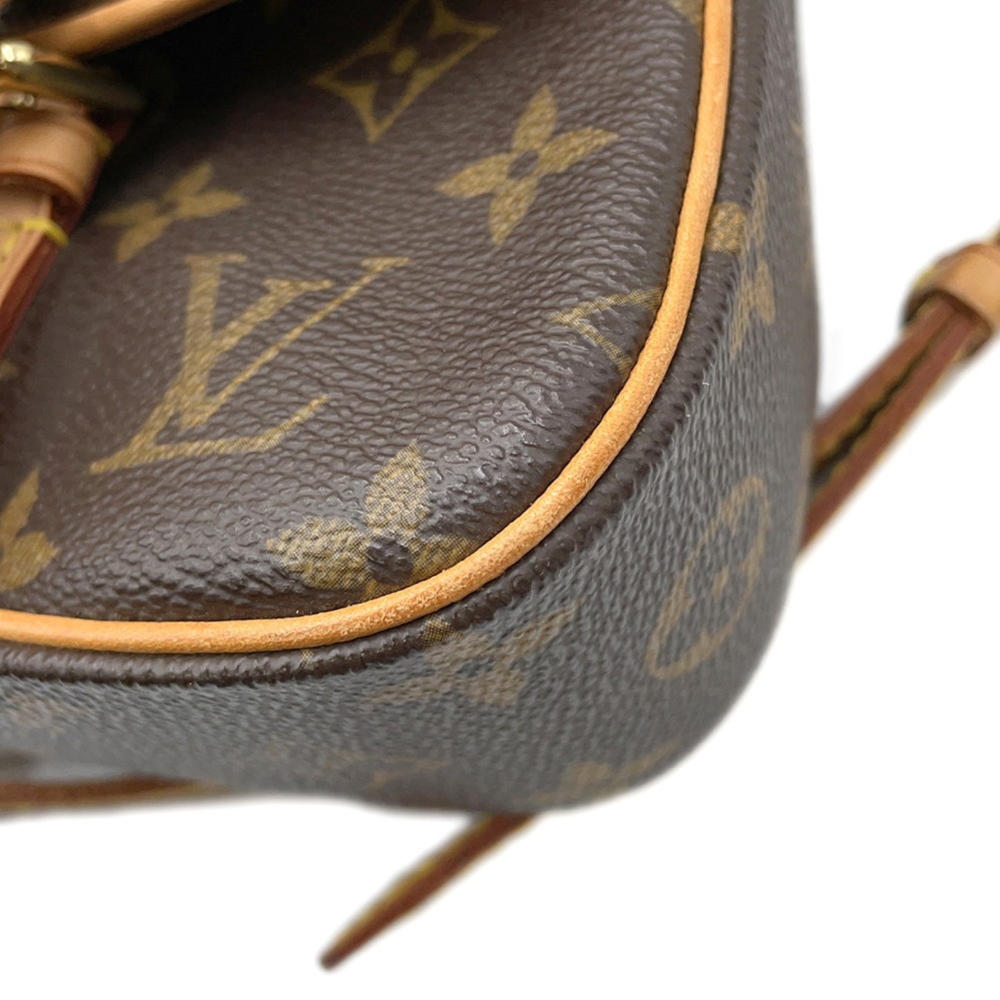 Louis Vuitton Monogram Canvas Brown Backpacks