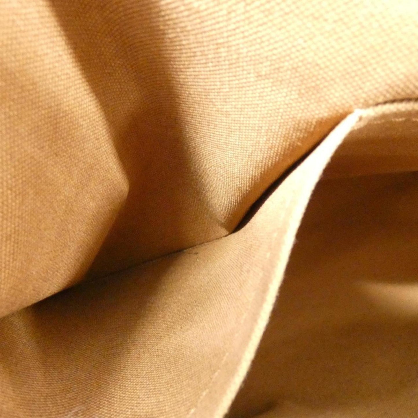Louis Vuitton Monogram Canvas Brown Handbags