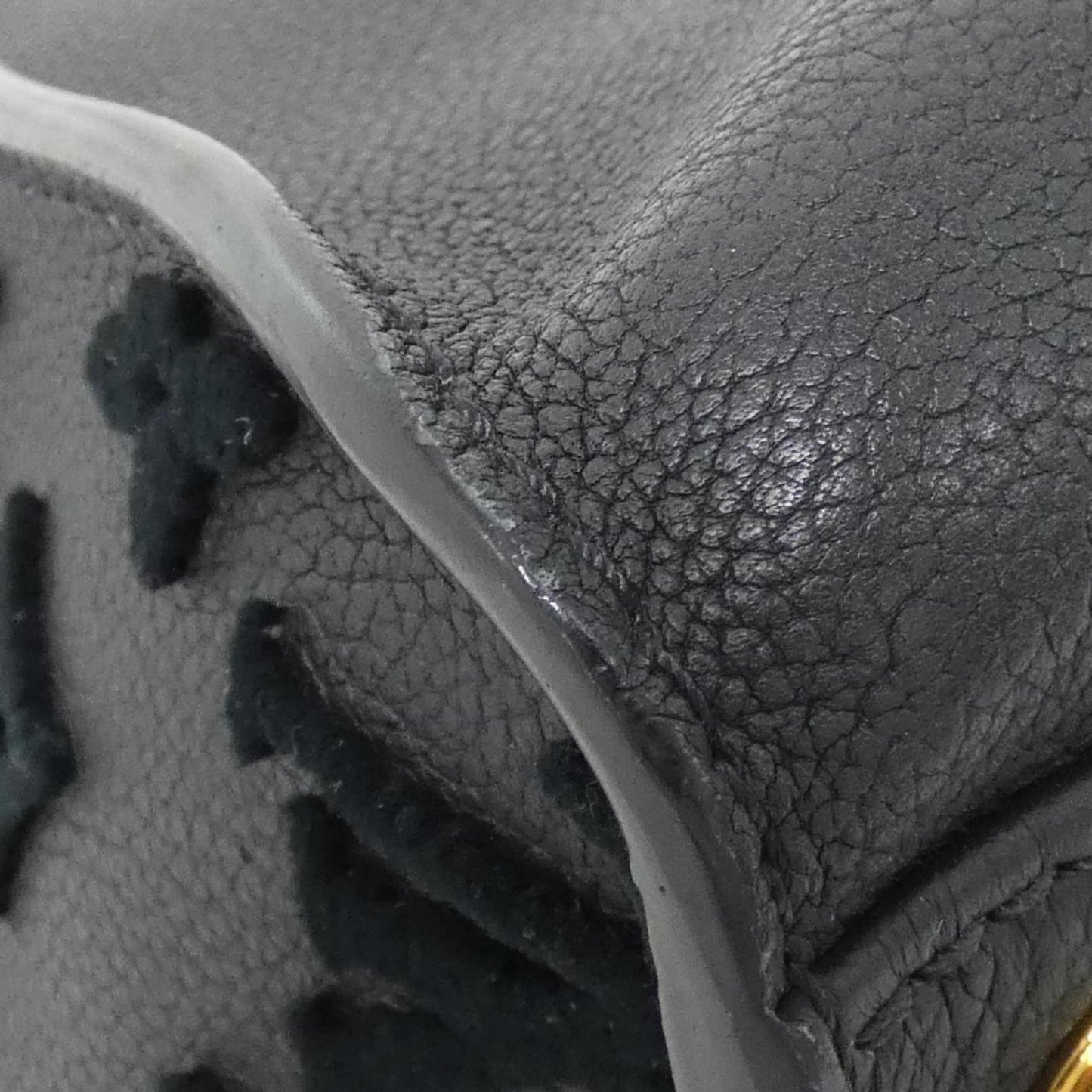 Louis Vuitton Others Black Handbags