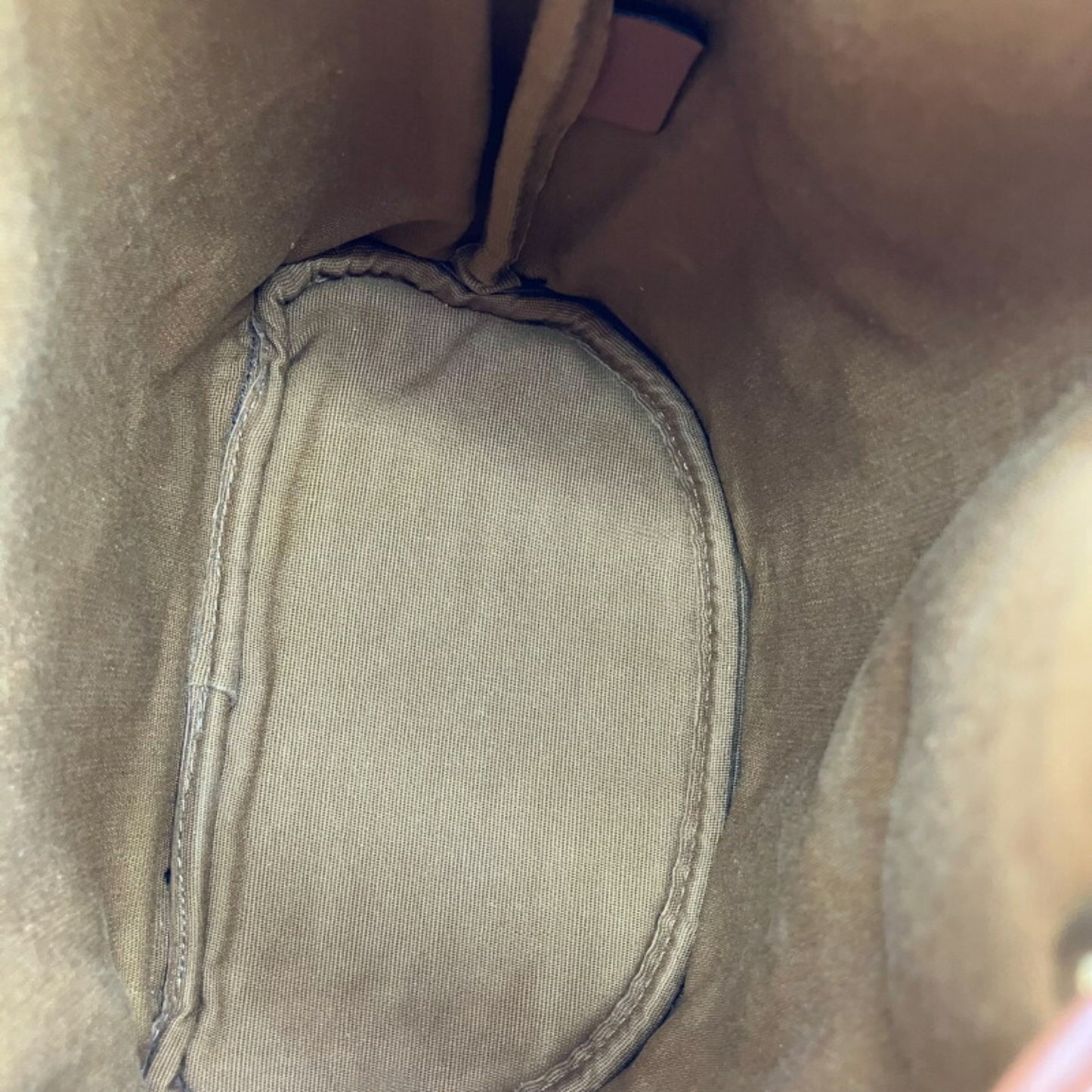 Celine Canvas Brown Backpacks