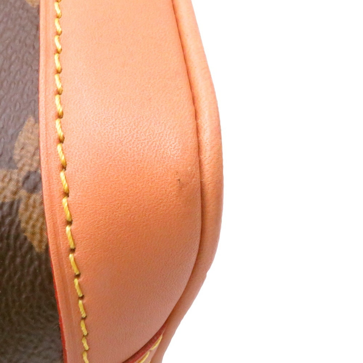 Louis Vuitton Monogram Canvas Brown Handbags