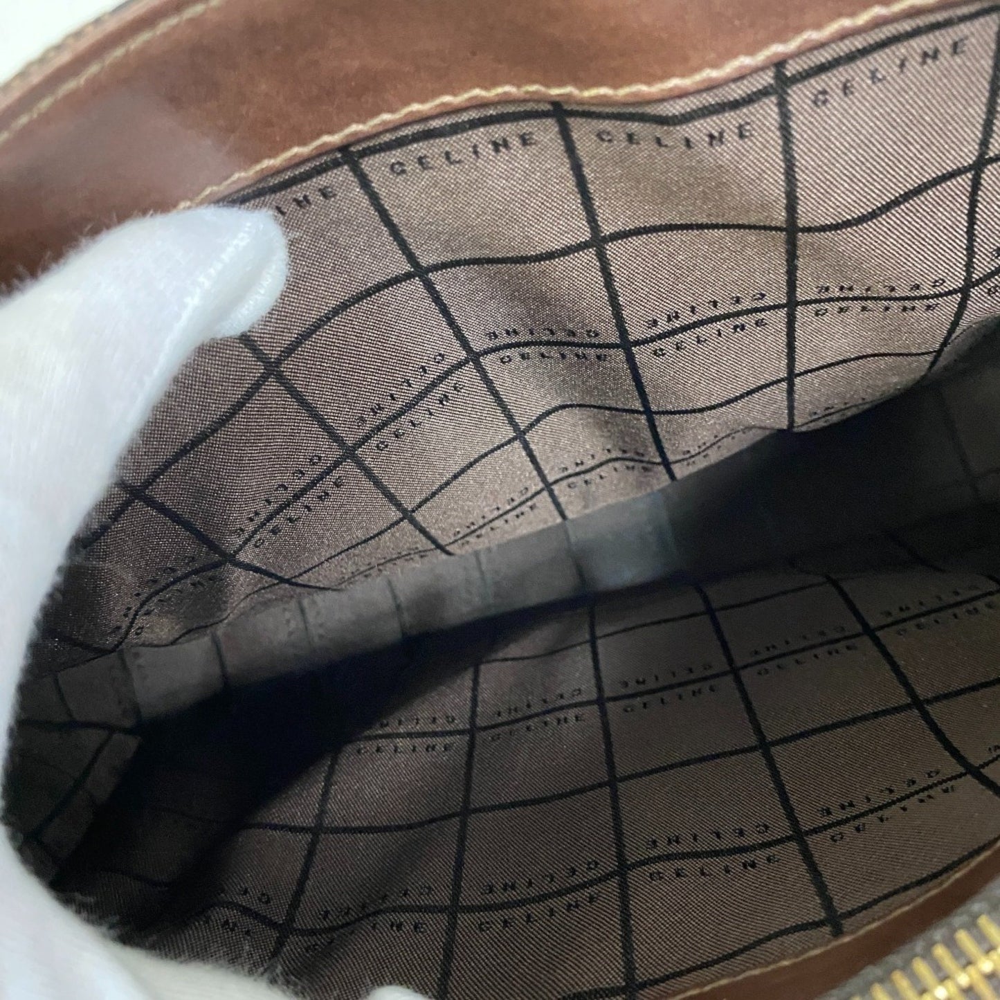 Celine Canvas Brown Handbags