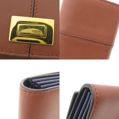 Fendi Others Brown Cases