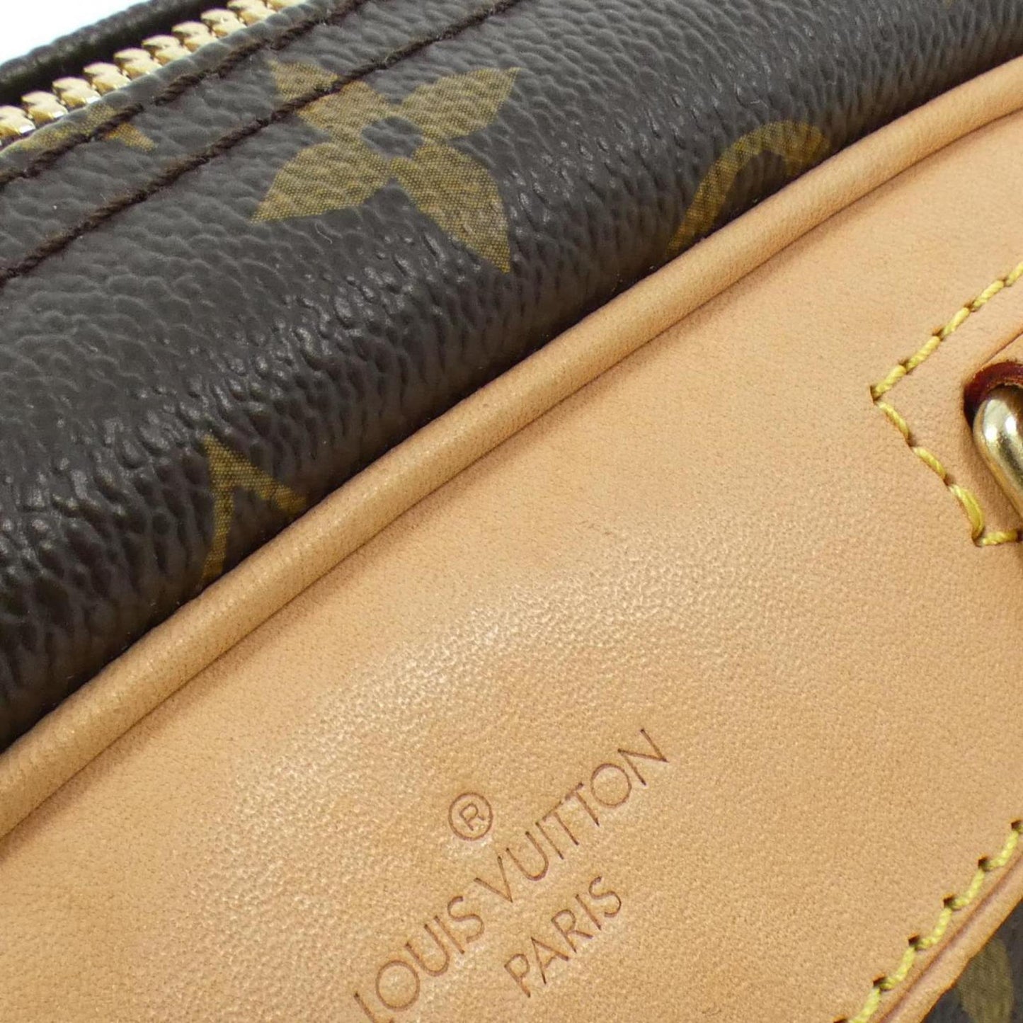Louis Vuitton Monogram Canvas Brown Handbags