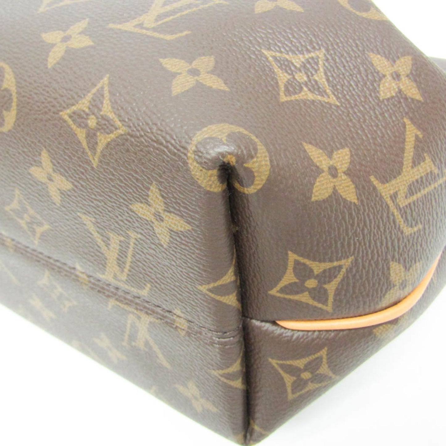 Louis Vuitton Monogram Canvas Brown Handbags