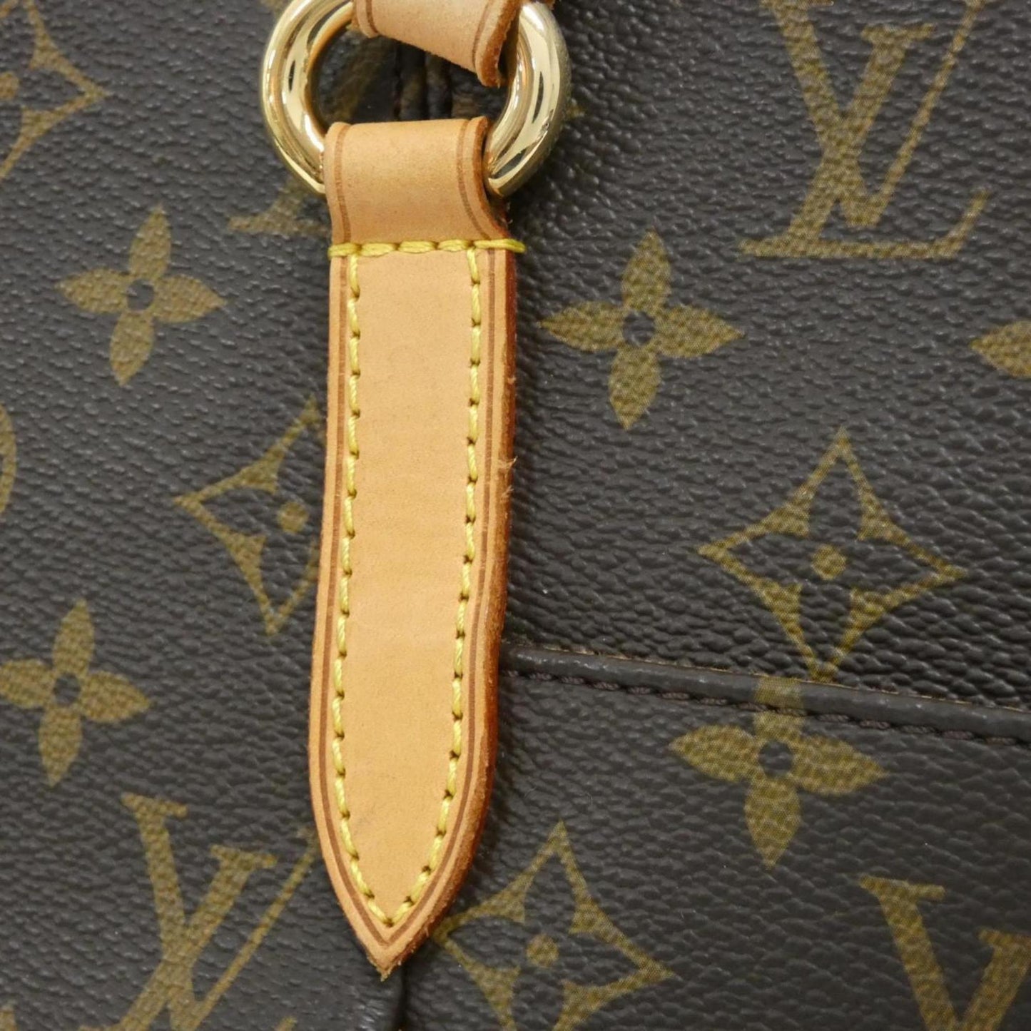 Louis Vuitton Monogram Canvas Brown Handbags