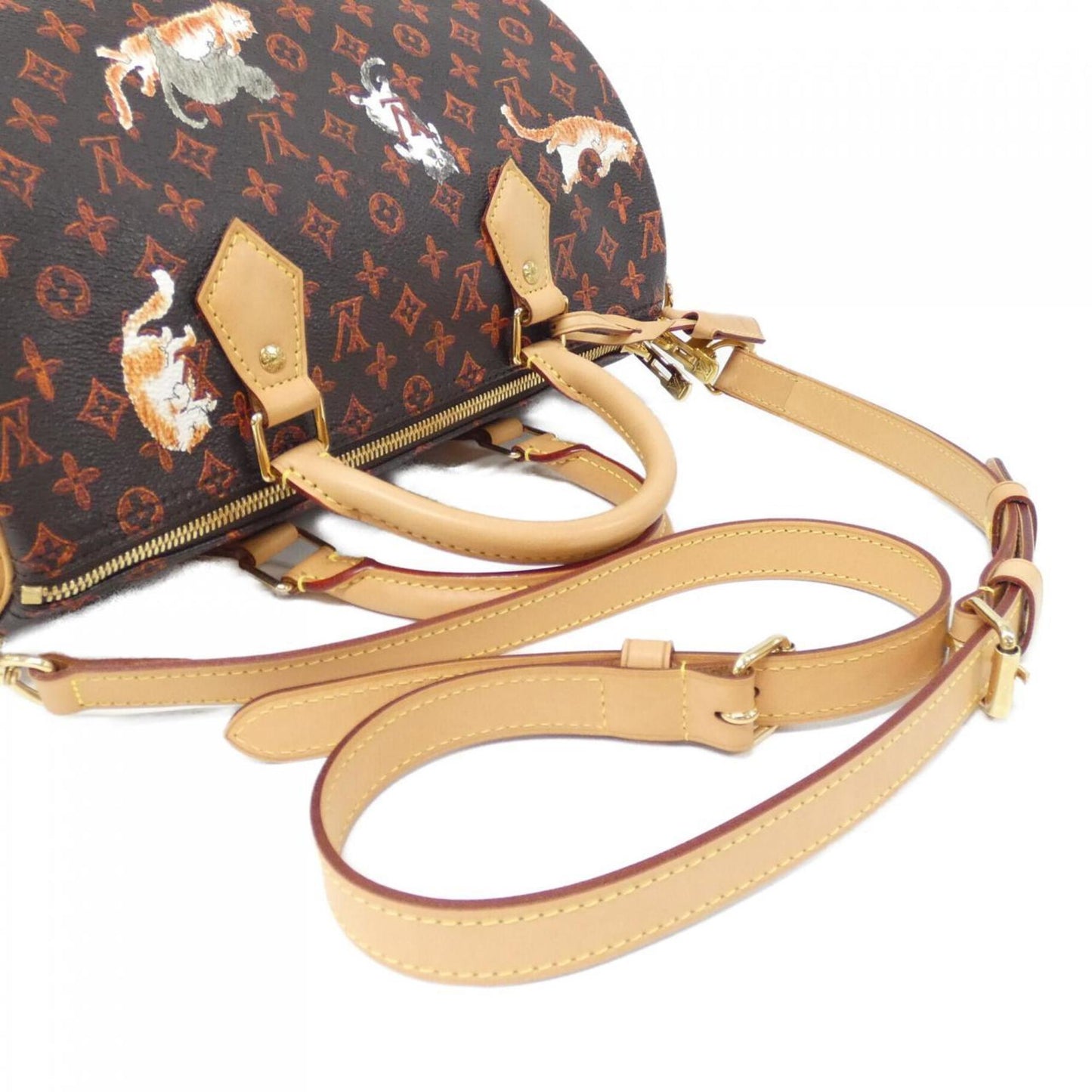 Louis Vuitton Coated Canvas Brown Travel Bags