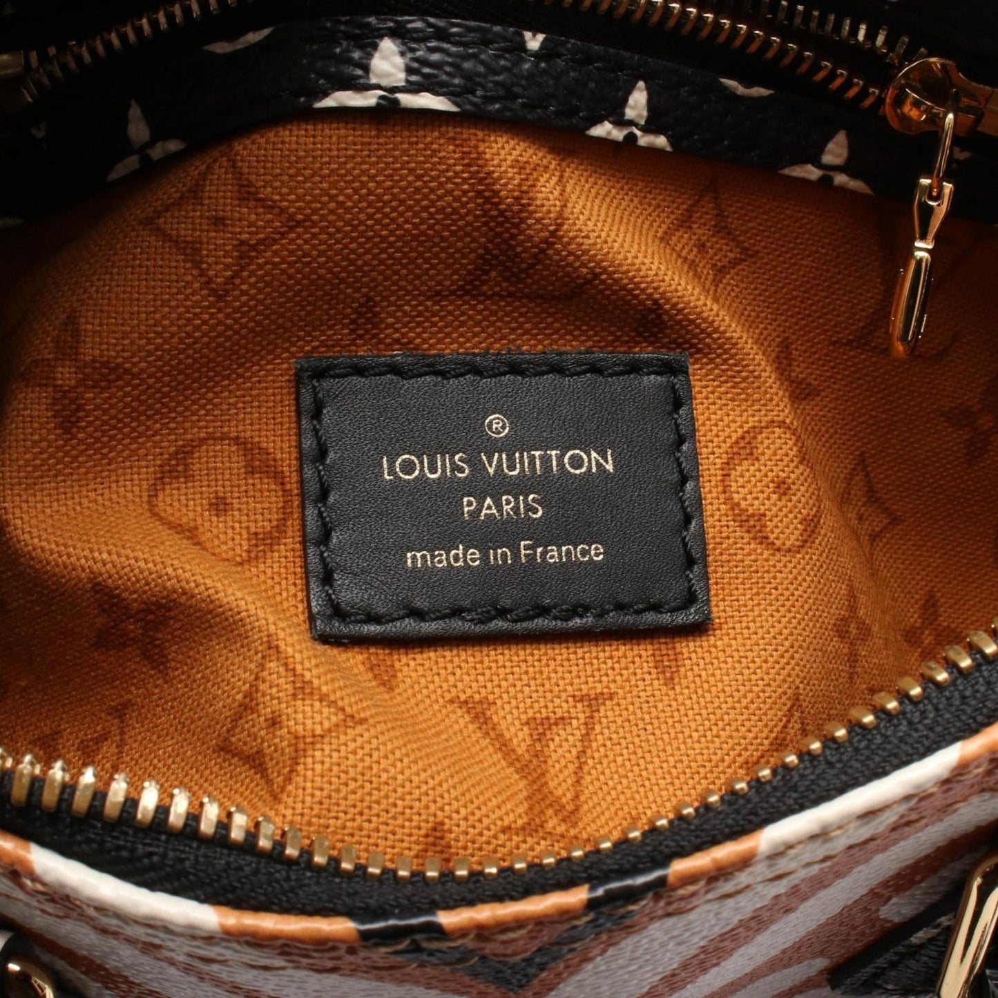 Louis Vuitton Coated Canvas Multi Handbags