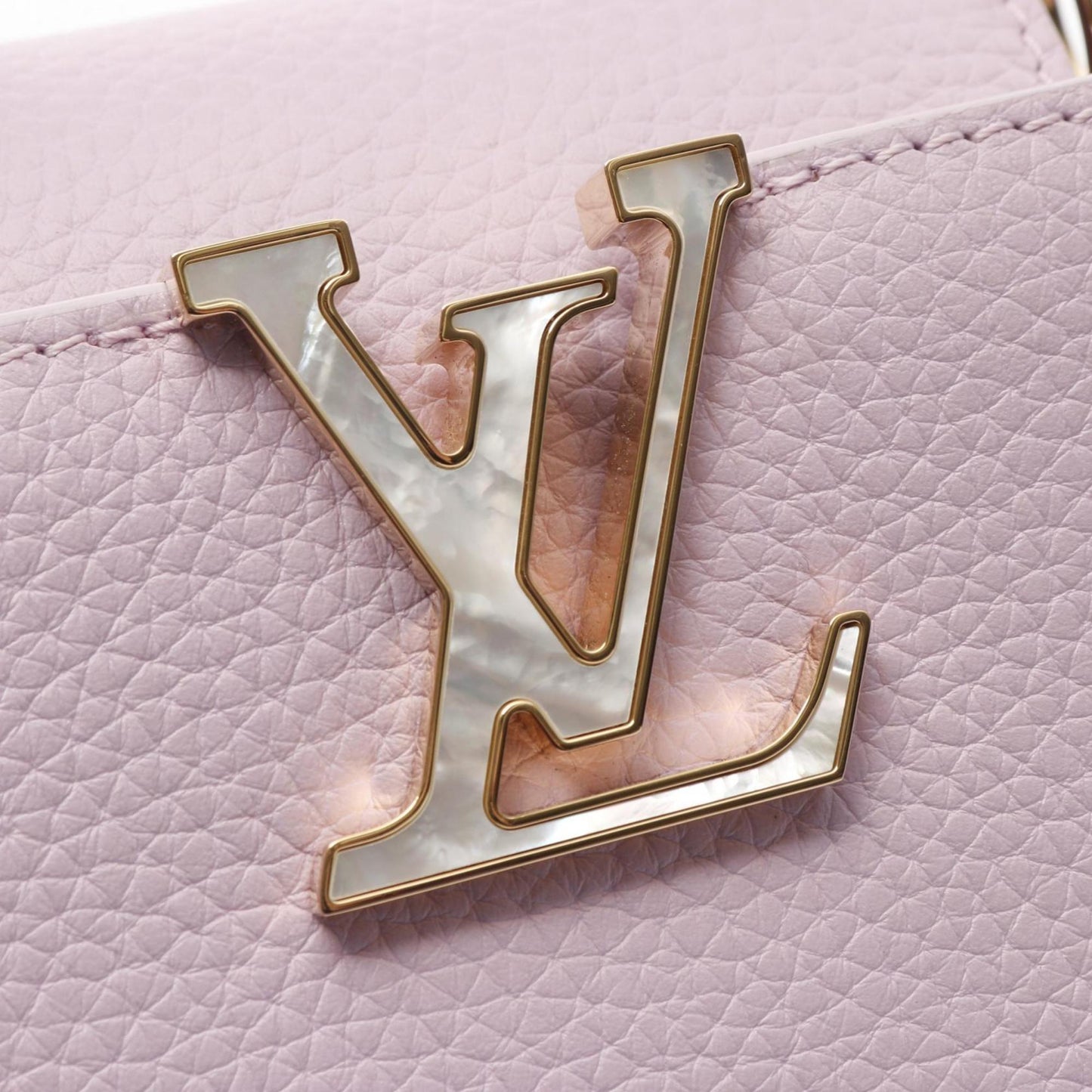 Louis Vuitton Others Purple Handbags