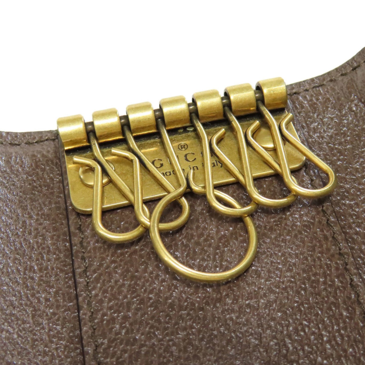 Gucci Canvas Brown Cases