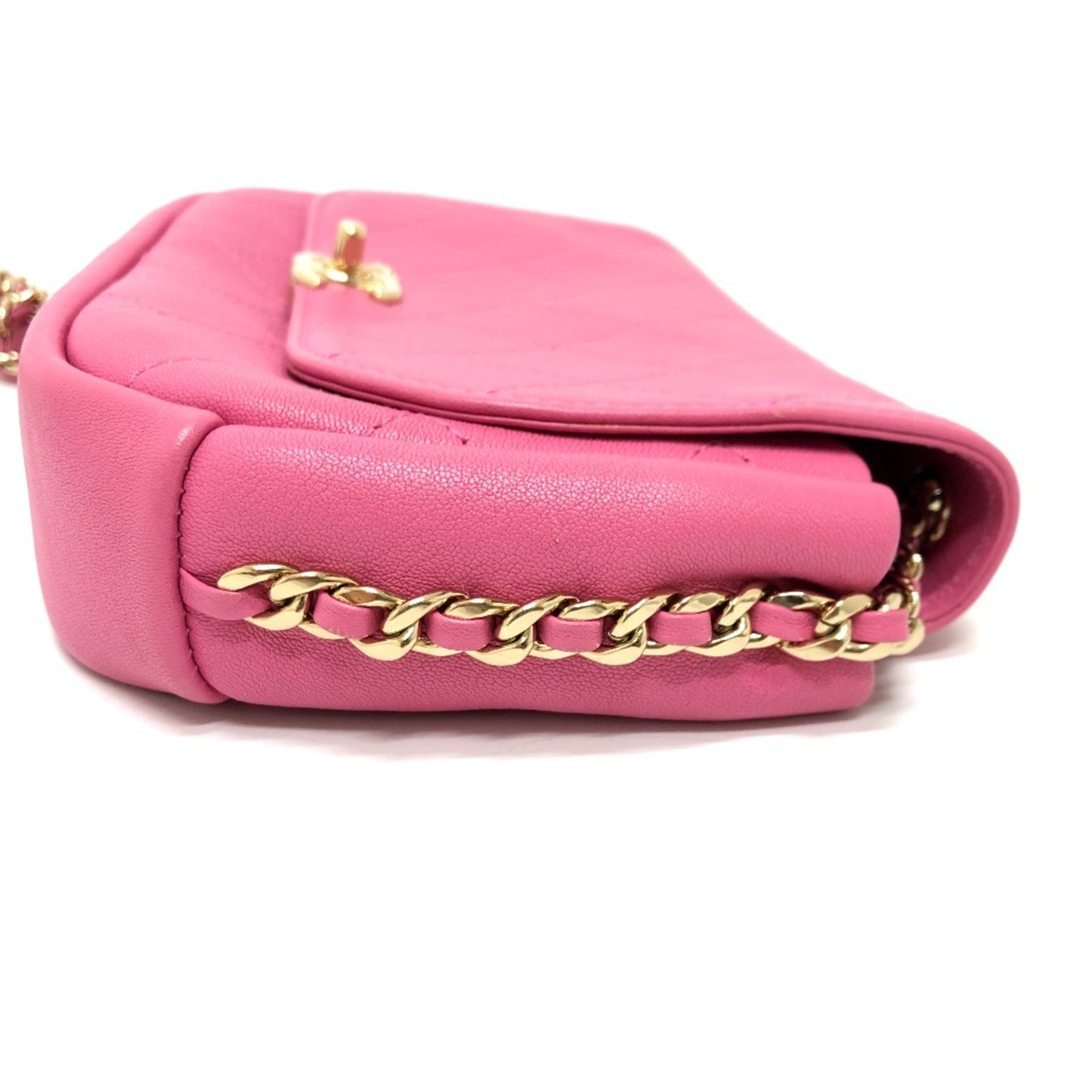 Chanel Others Pink Shoulder Bags