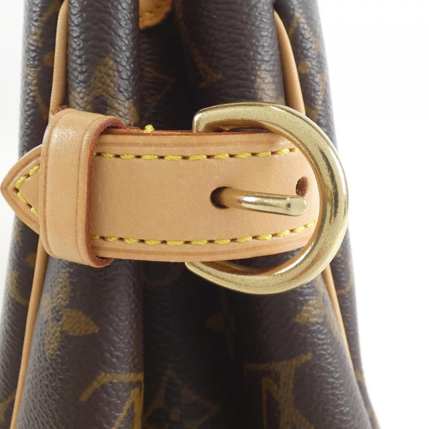 Louis Vuitton Coated Canvas Brown Handbags