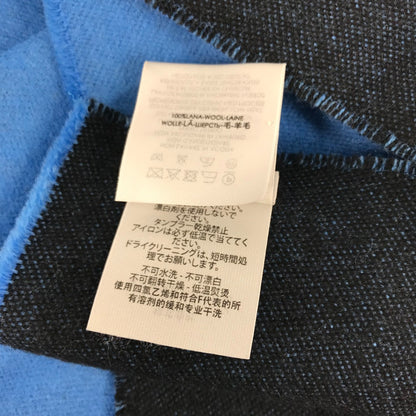 Balenciaga Wool Blue Scarves