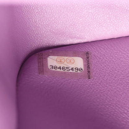 Chanel Others Purple Shoulder Bags
