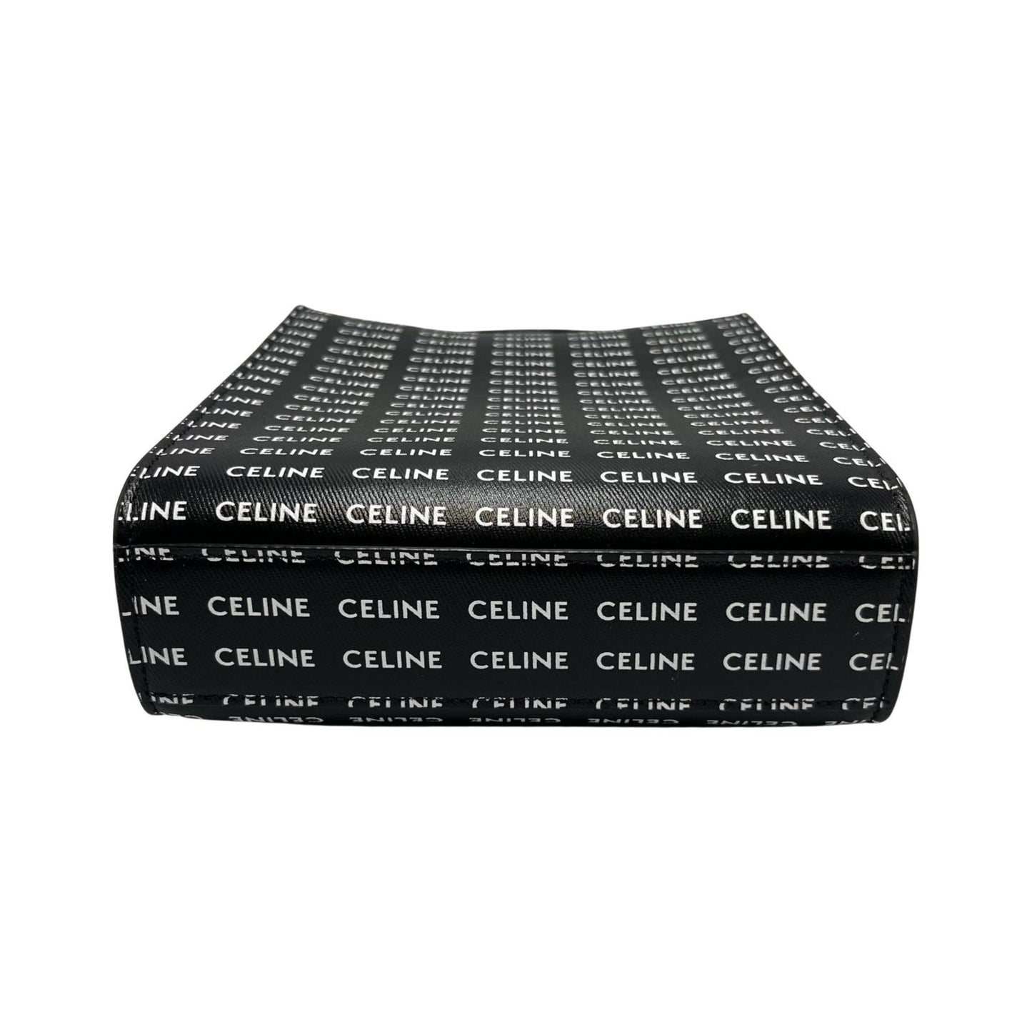 Celine Others Black Handbags