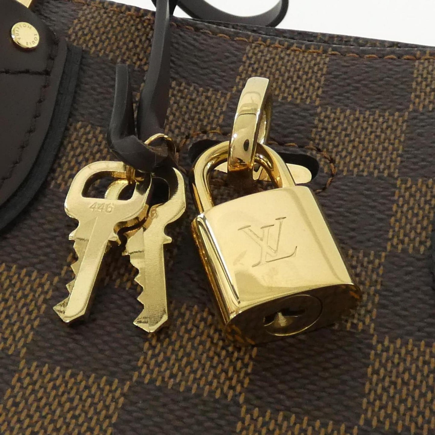 Louis Vuitton Coated Canvas Black Handbags