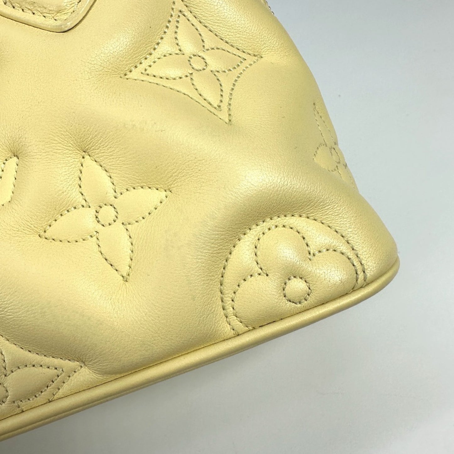 Louis Vuitton Others Yellow Handbags
