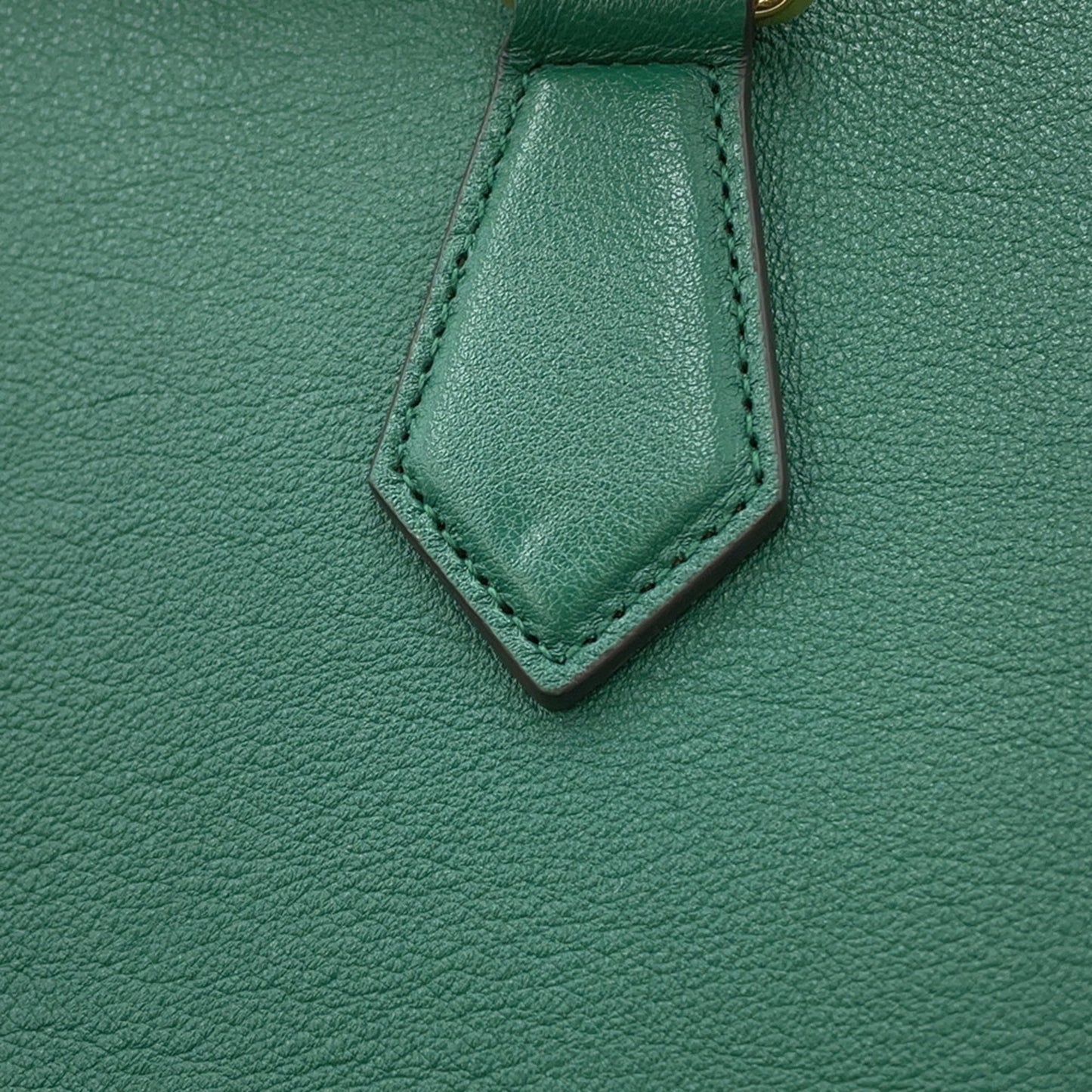 Gucci Others Green Handbags