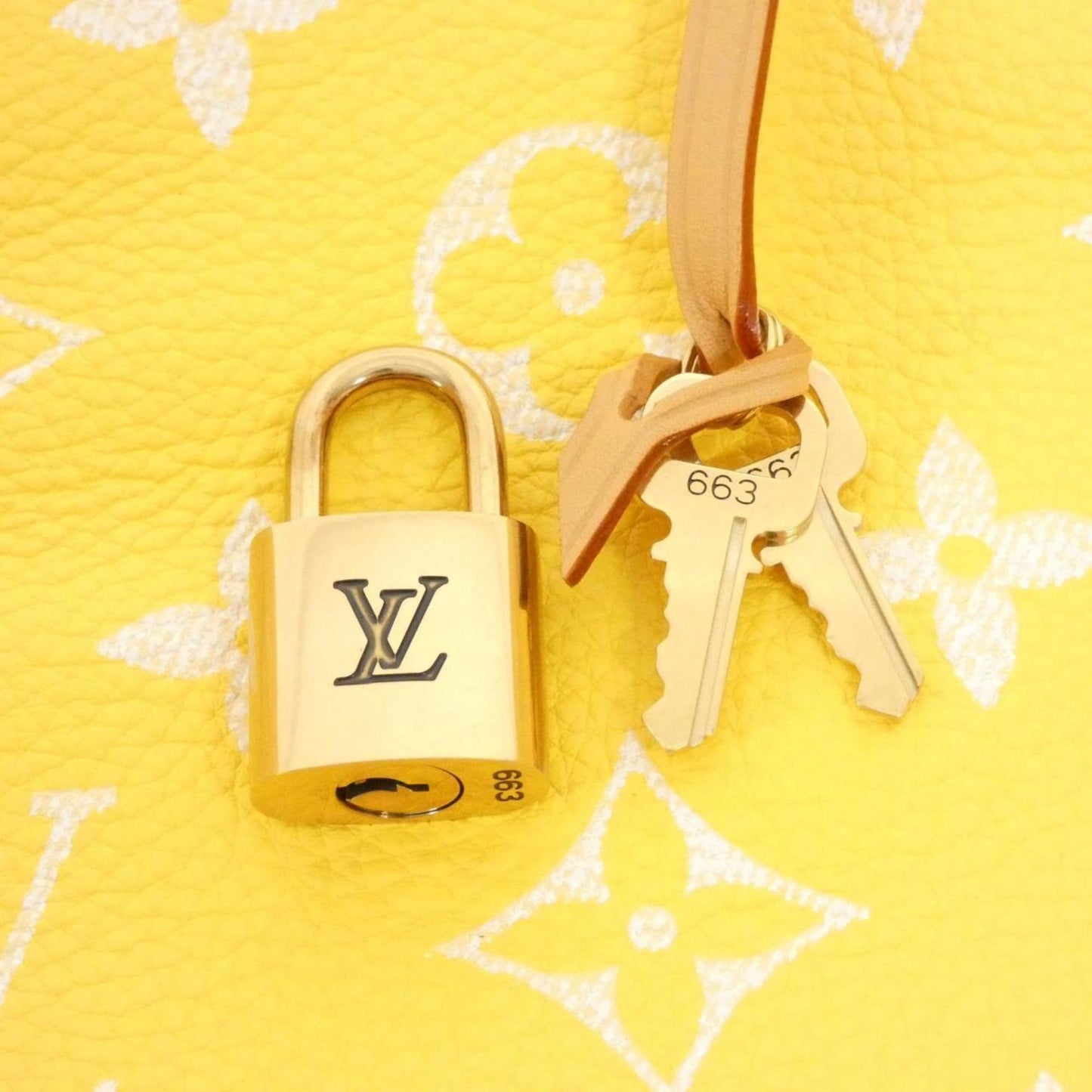 Louis Vuitton Others Yellow Travel Bags