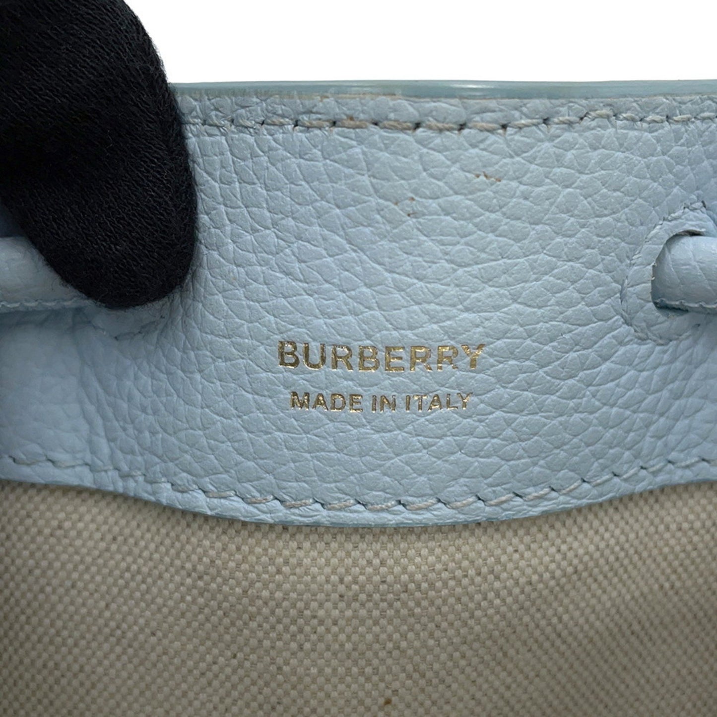 Burberry Others Blue Handbags