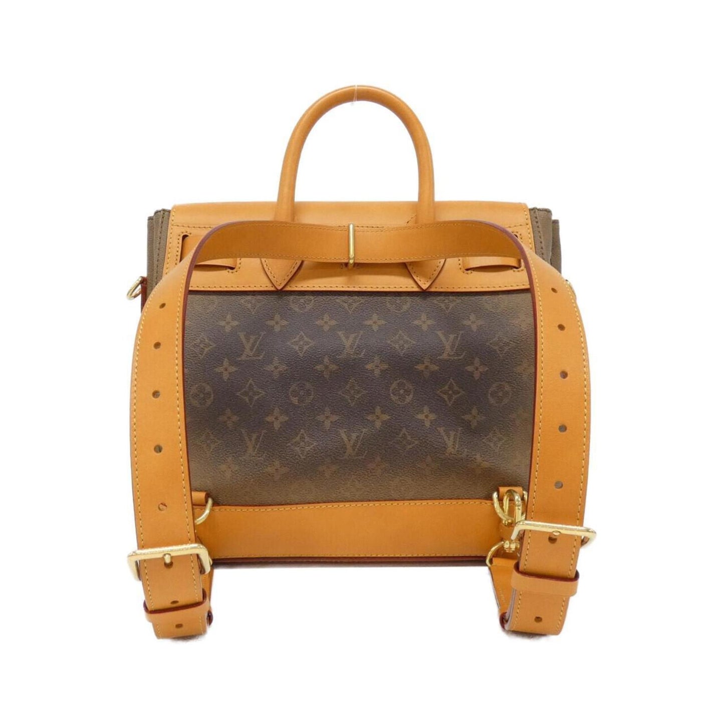 Louis Vuitton Monogram Canvas Brown Handbags