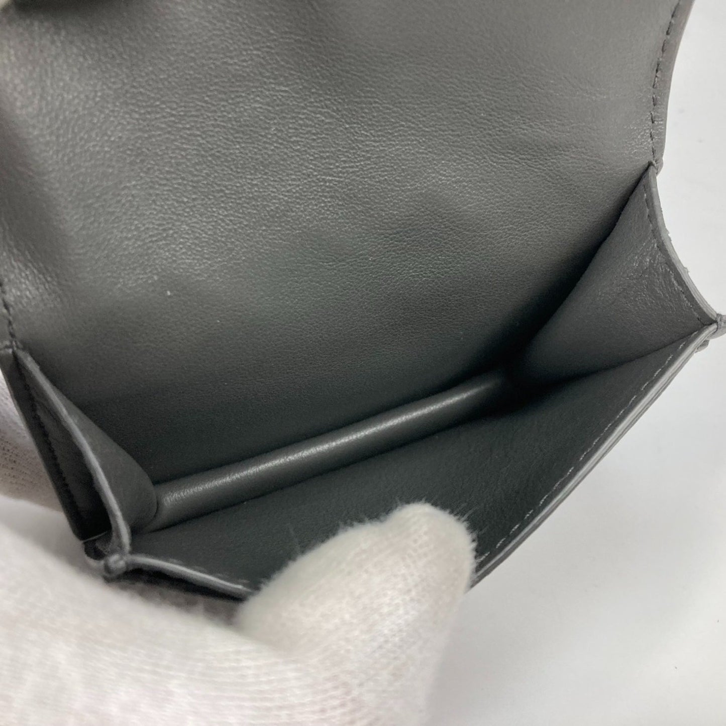 Bottega Veneta Others Gray Cases
