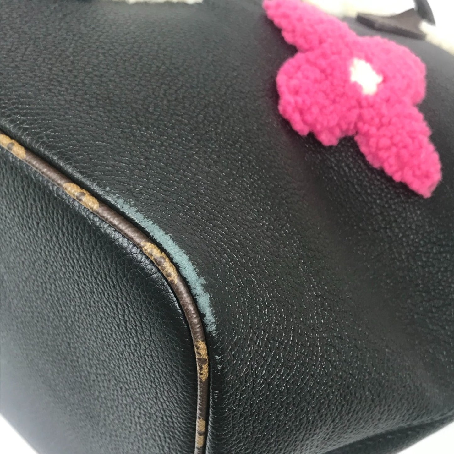 Louis Vuitton Others Black Tote Bags