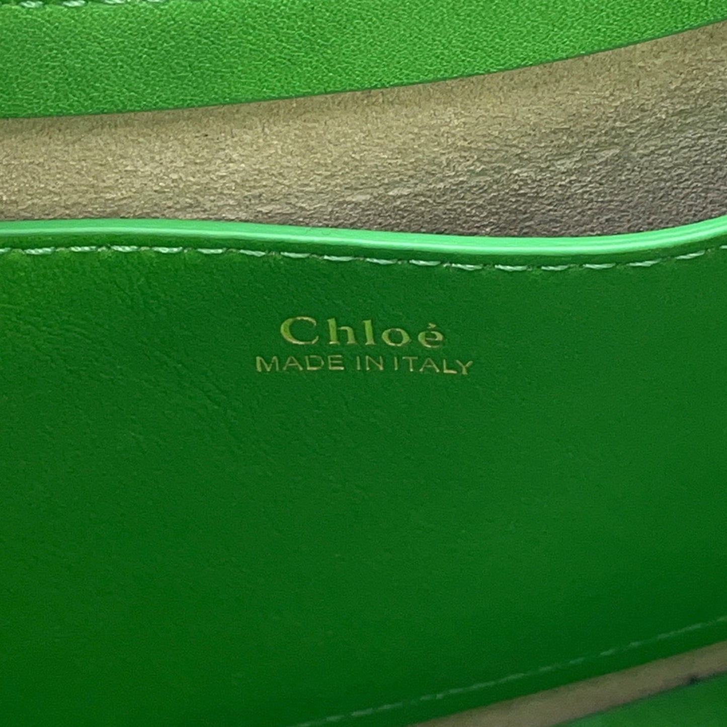 Chloé Others Green Handbags