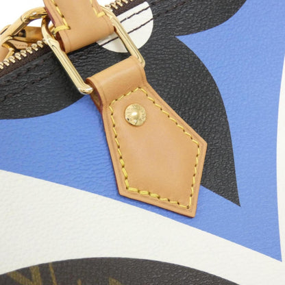 Louis Vuitton Coated Canvas Brown Travel Bags