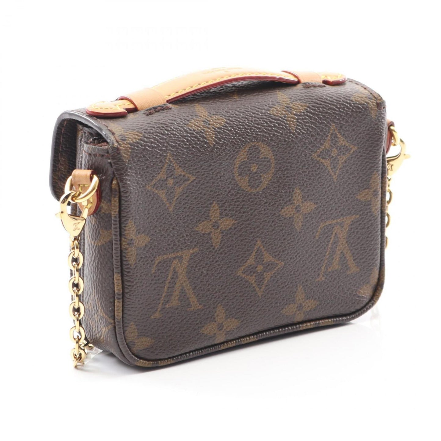 Louis Vuitton Pvc Brown Handbags