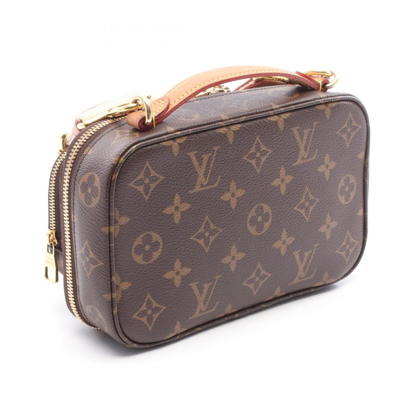 Louis Vuitton Pvc Brown Handbags