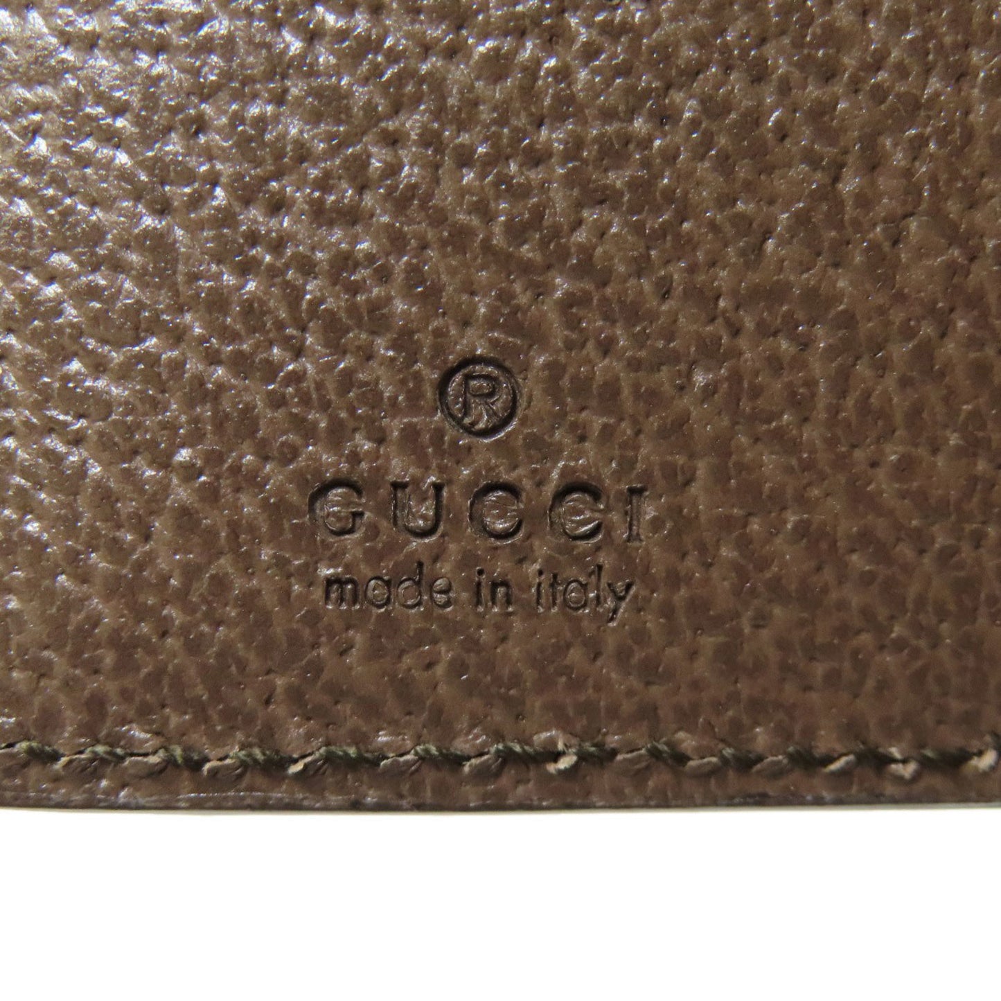 Gucci Canvas Brown Cases