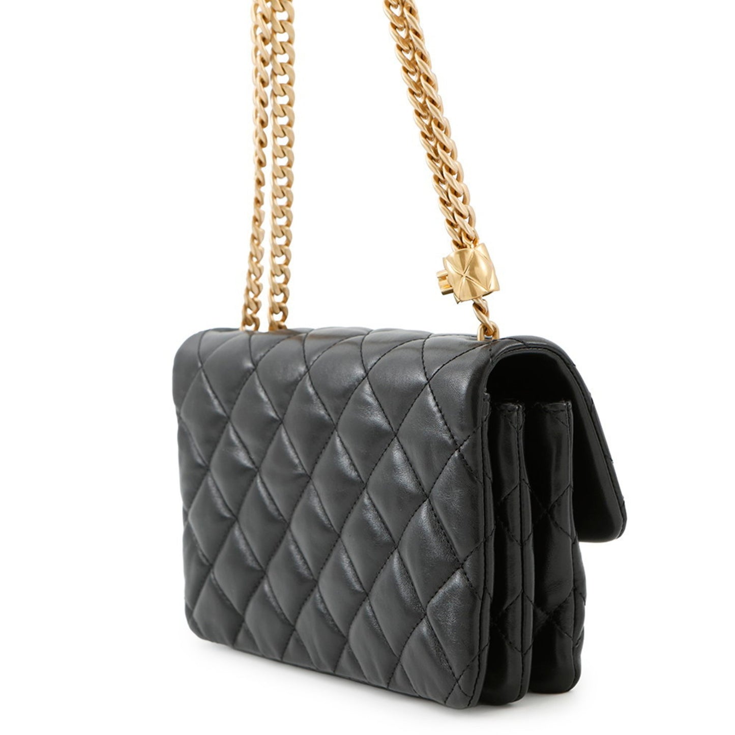 Chanel Others Black Shoulder Bags