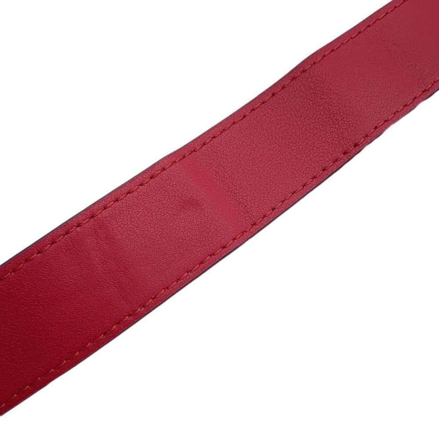 Gucci Others Red Crossbody Bags