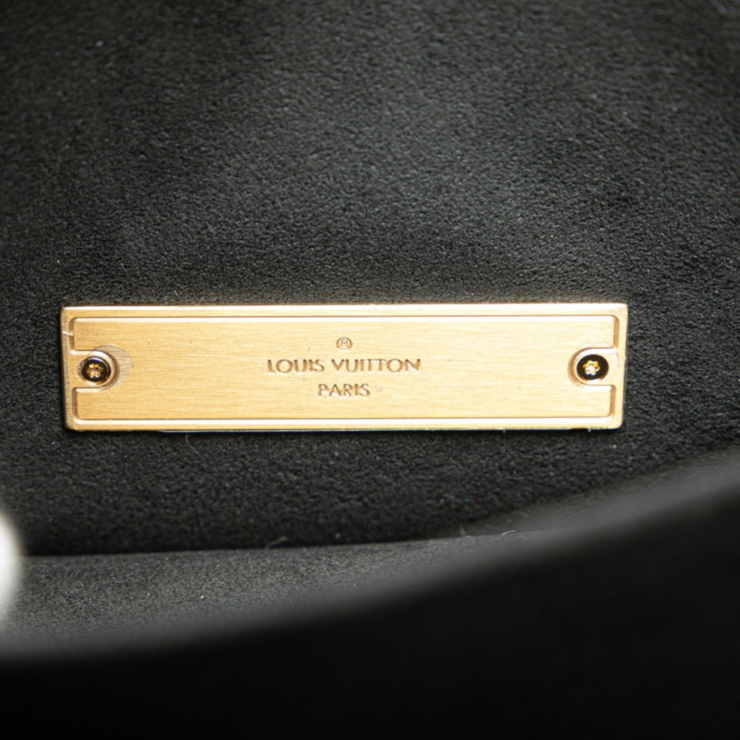 Louis Vuitton Pvc Brown Handbags