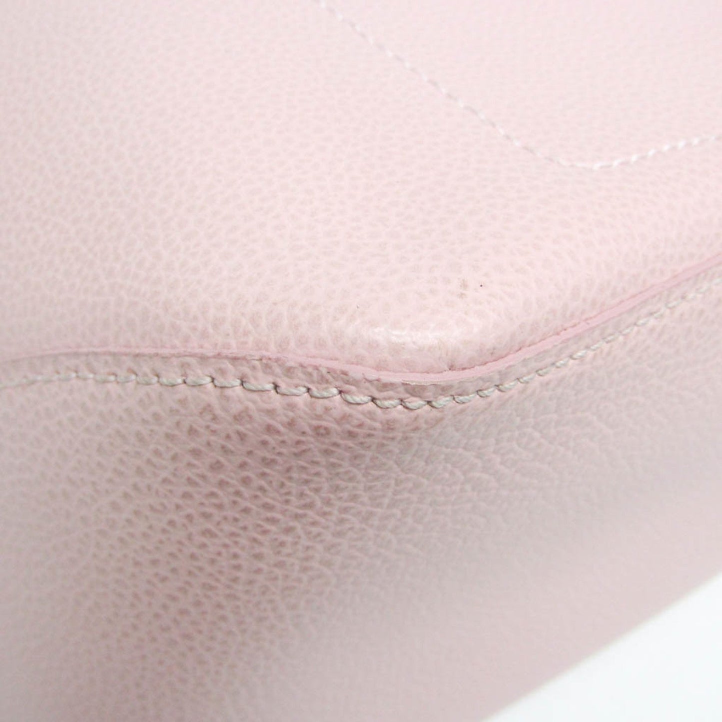 Longchamp Others Pink Shoulder Bags
