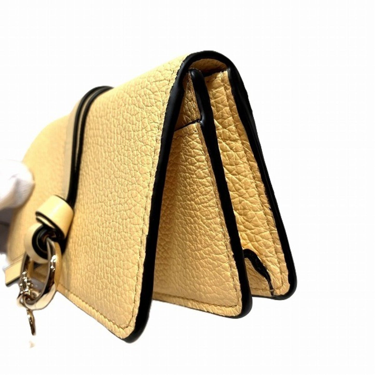 Chloé Others Yellow Cases