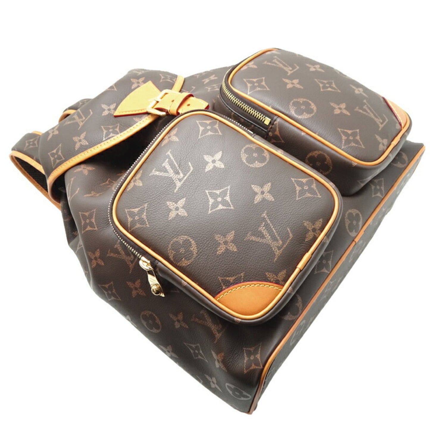 Louis Vuitton Others Brown Backpacks