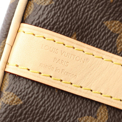 Louis Vuitton Coated Canvas Brown Handbags