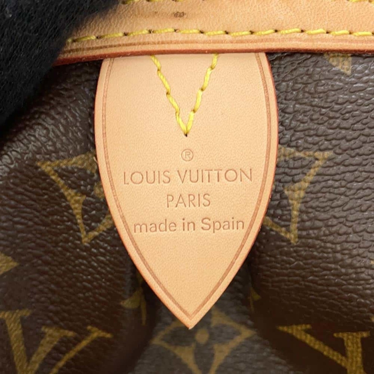 Louis Vuitton Monogram Canvas Brown Handbags