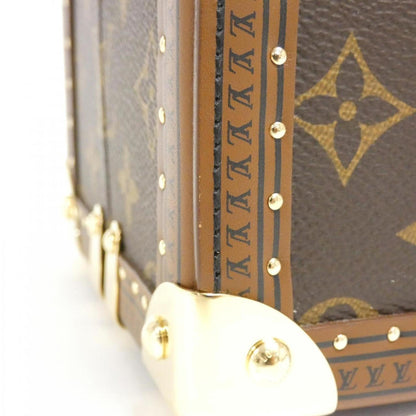 Louis Vuitton Monogram Canvas Brown Handbags