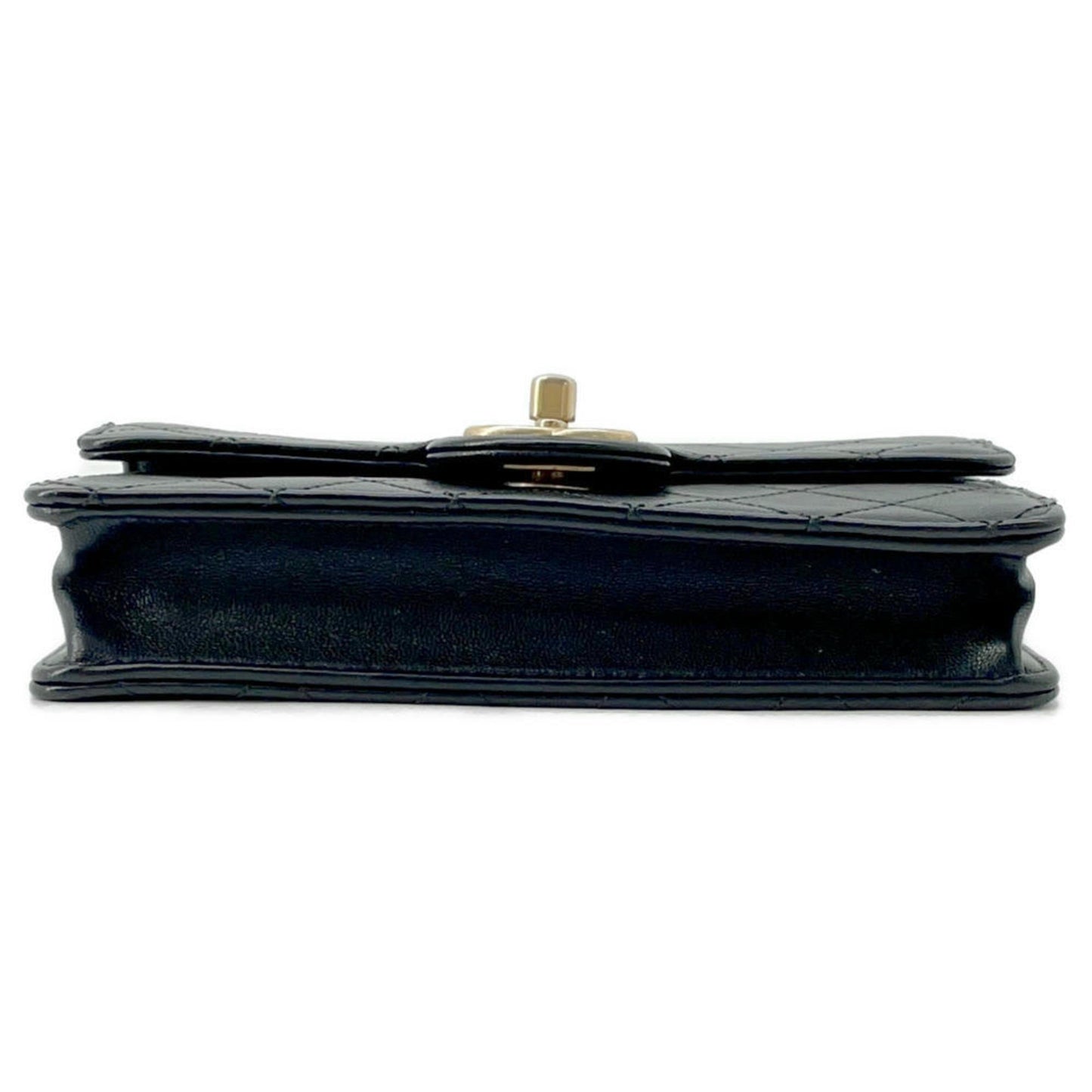 Chanel Others Black Shoulder Bags