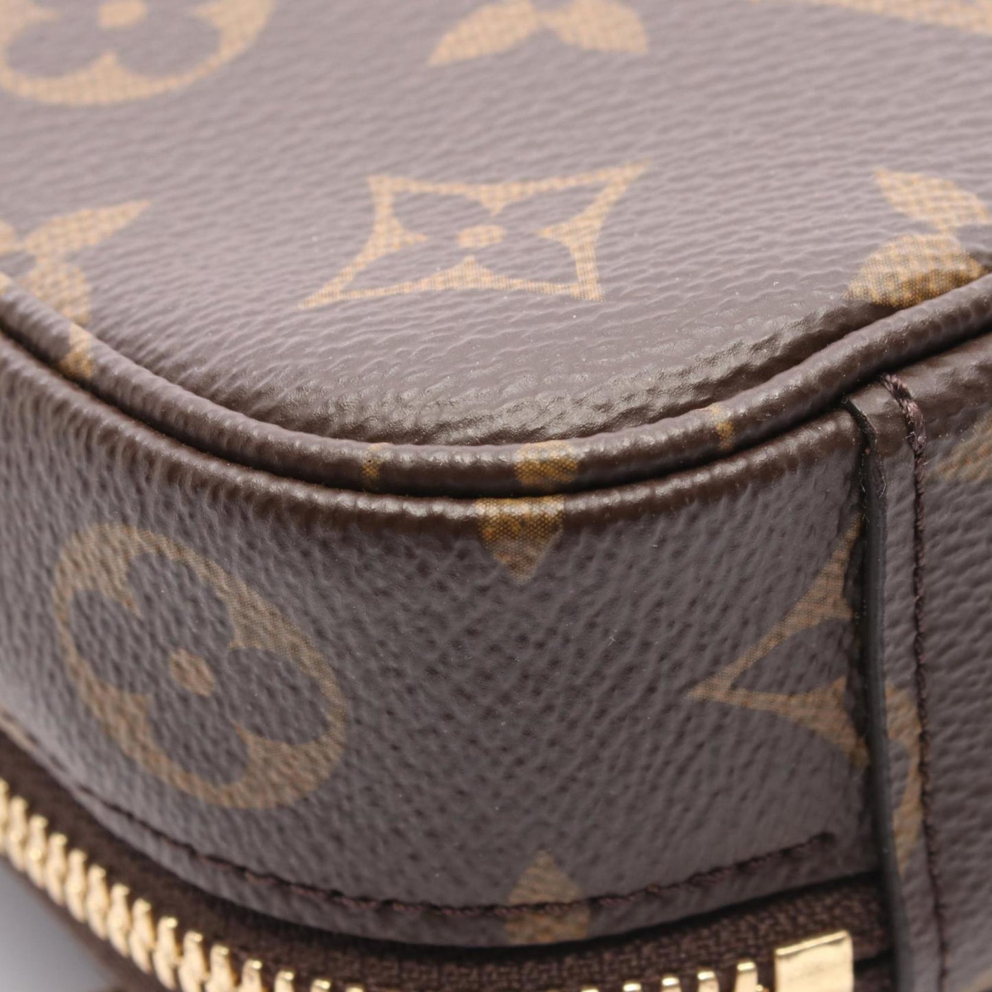 Louis Vuitton Pvc Brown Handbags