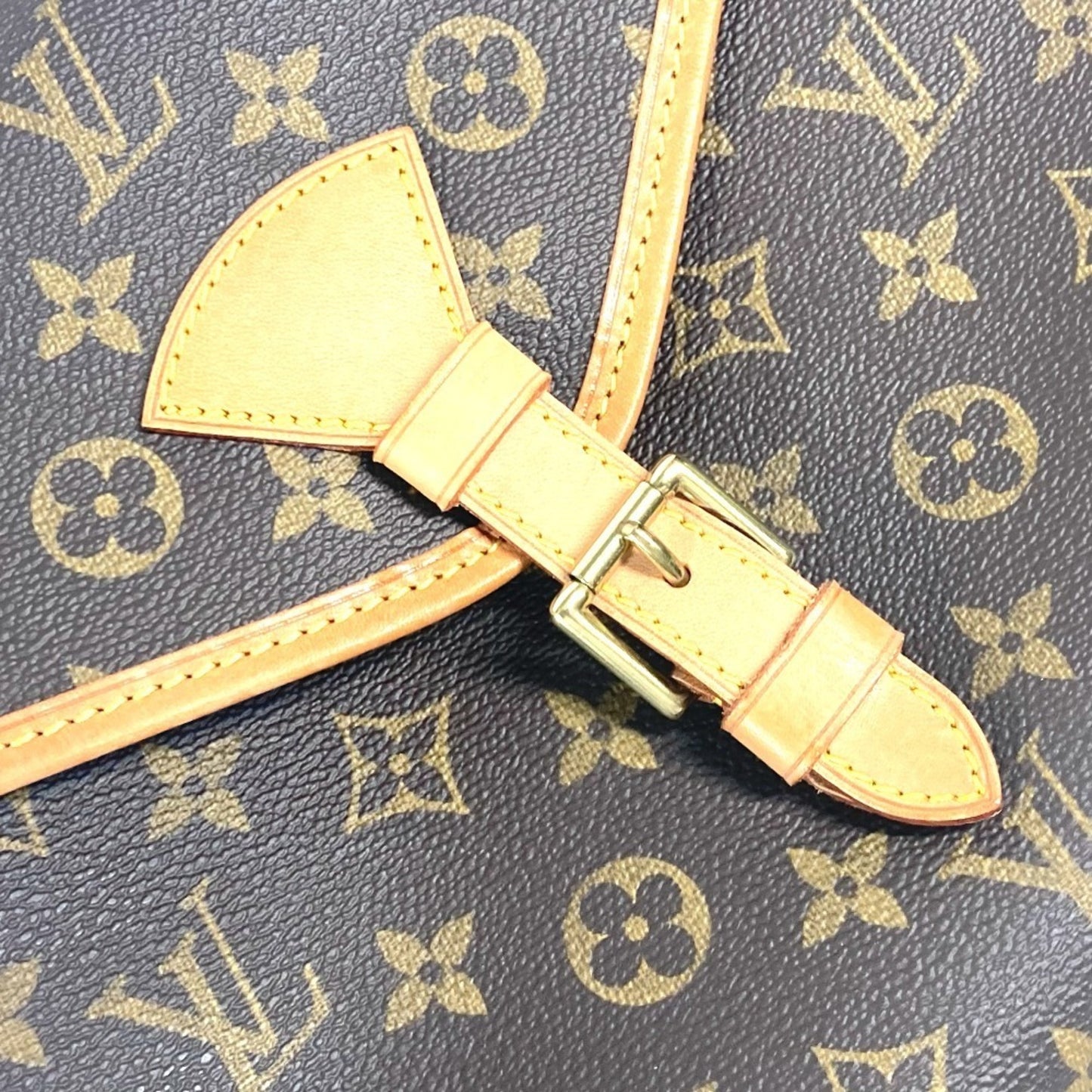 Louis Vuitton Monogram Canvas Brown Handbags