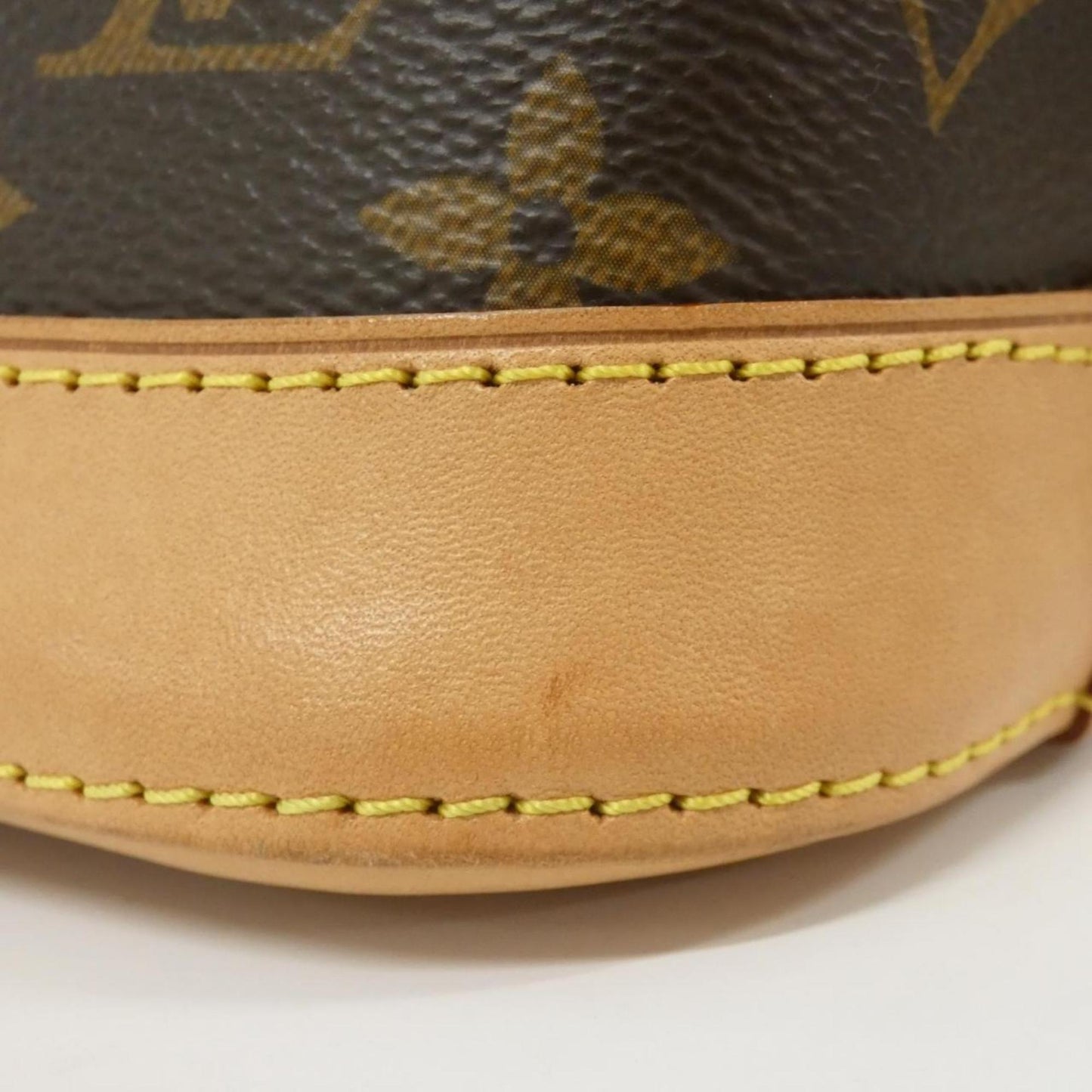 Louis Vuitton Monogram Canvas Brown Handbags