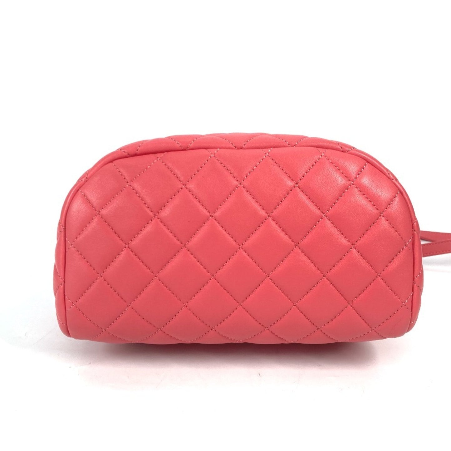 Chanel Others Pink Backpacks