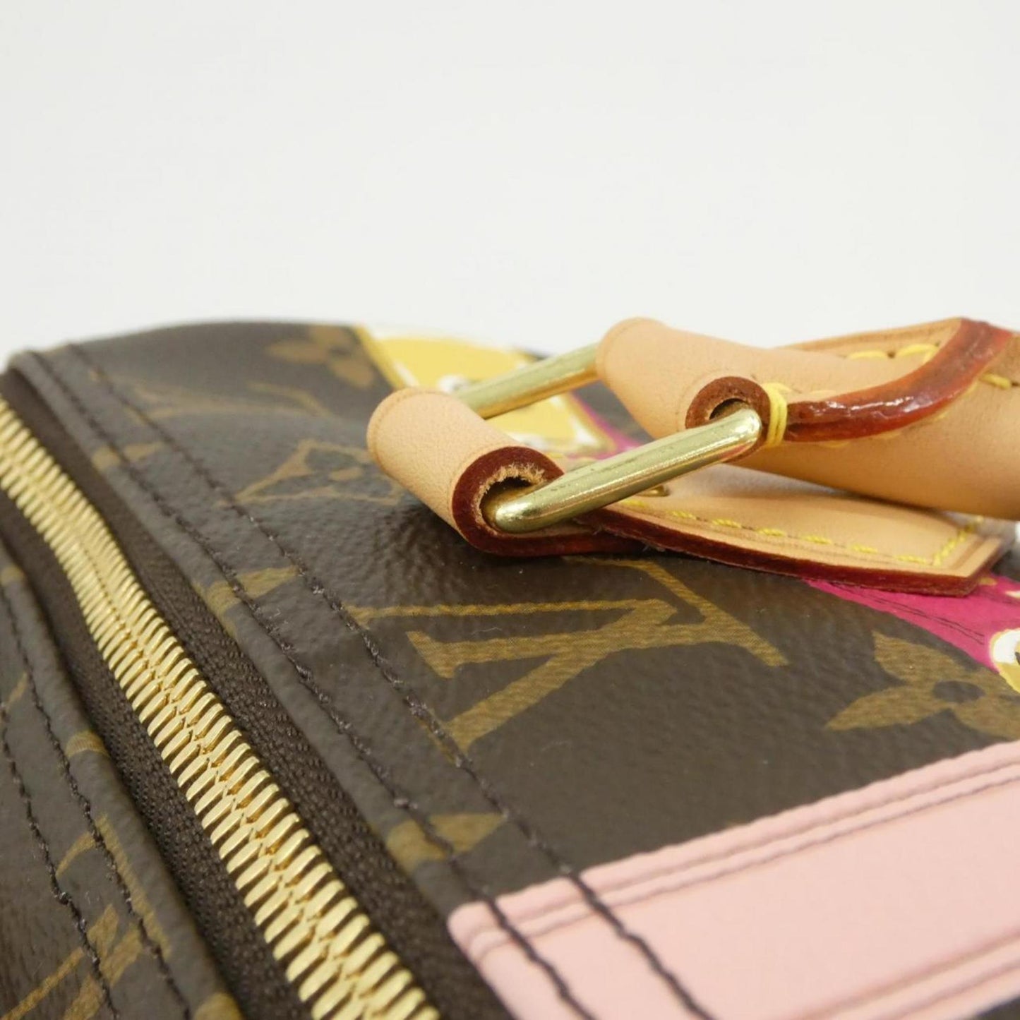 Louis Vuitton Coated Canvas Brown Travel Bags