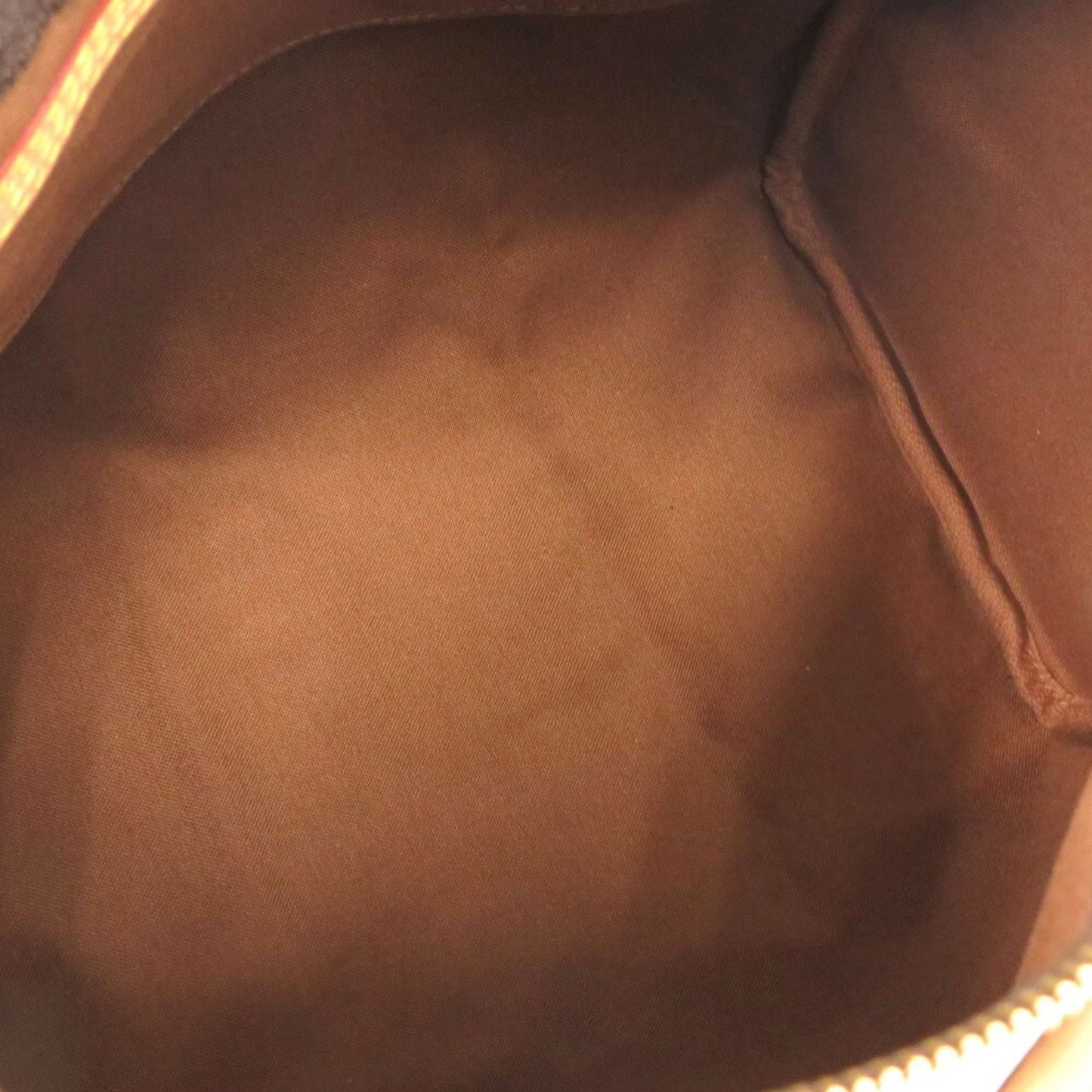Louis Vuitton Monogram Canvas Brown Handbags