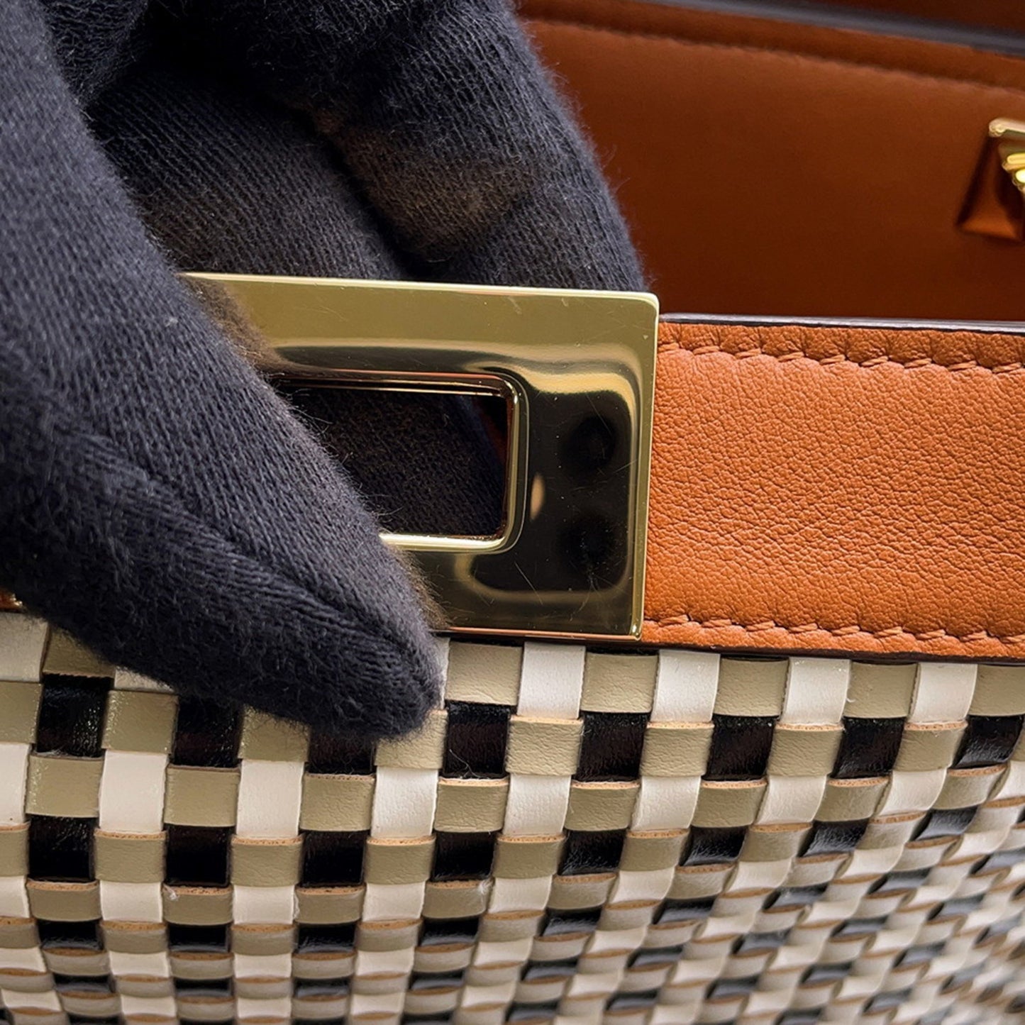 Fendi Others Brown Handbags